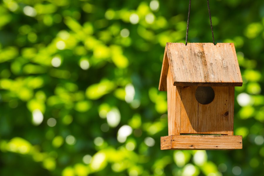 Old wooden birdhouse hanging with ropes. On a green blurred background
